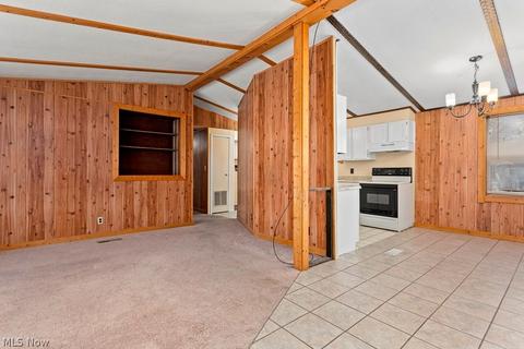 453 Stable Dr, Lagrange, OH 44050 photo 10