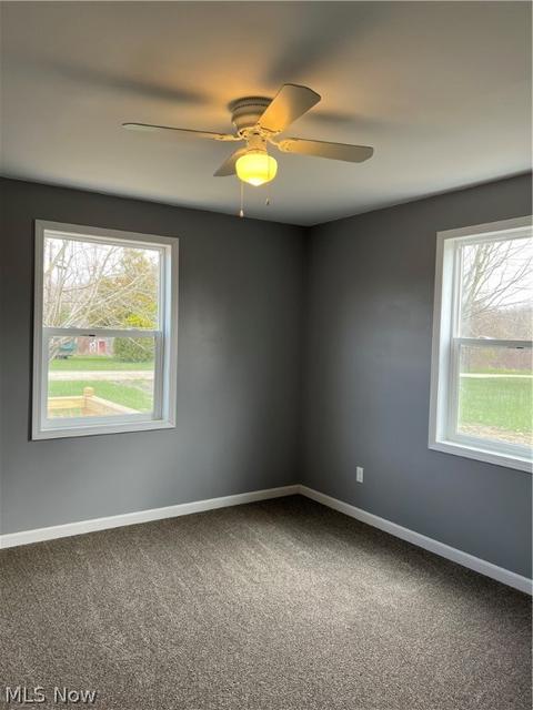 3749 Mann Rd, Ashtabula, OH 44004 photo 22
