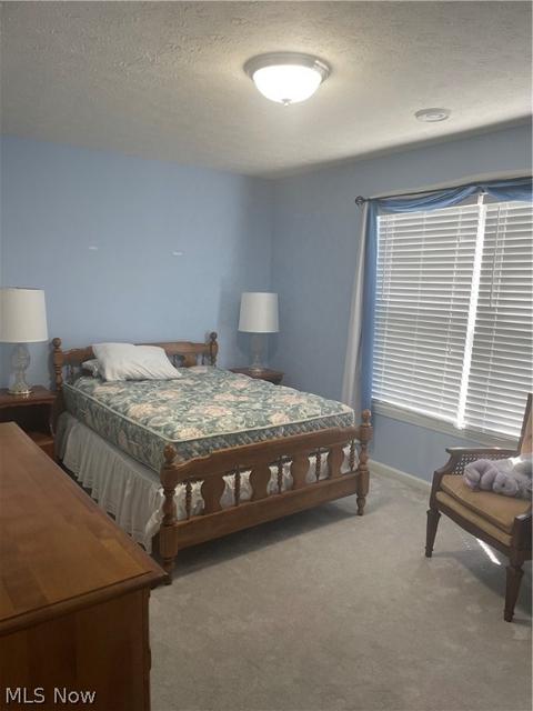 8070 Oak Tree Dr N, Lorain, OH 44053 photo 13