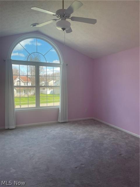 8070 Oak Tree Dr N, Lorain, OH 44053 photo 15