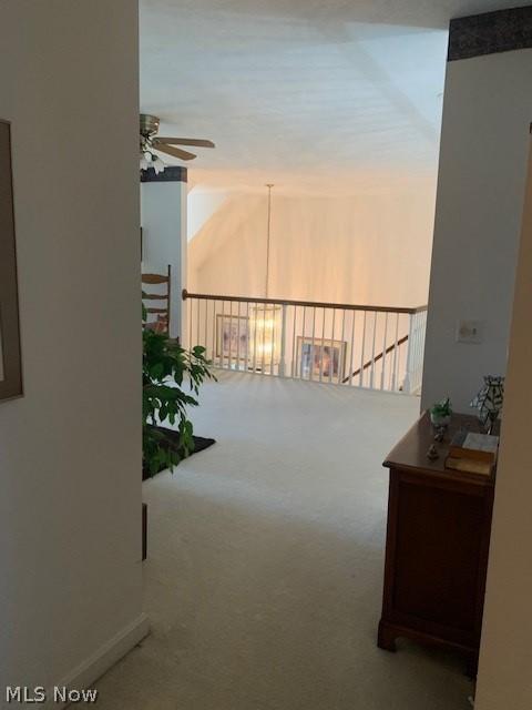  540 Avalon, Warren, OH 44484 photo 16