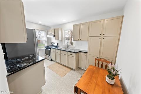 542 Cambridge Ave, Elyria, OH 44035 photo 12