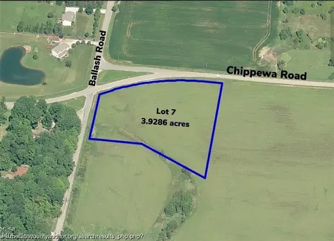 Chippewa Road, Medina, OH 44256