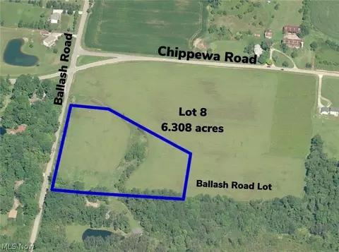 Ballash Road, Medina, OH 44256