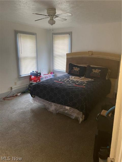 29 Terrace St, Struthers, OH 44471 photo 15