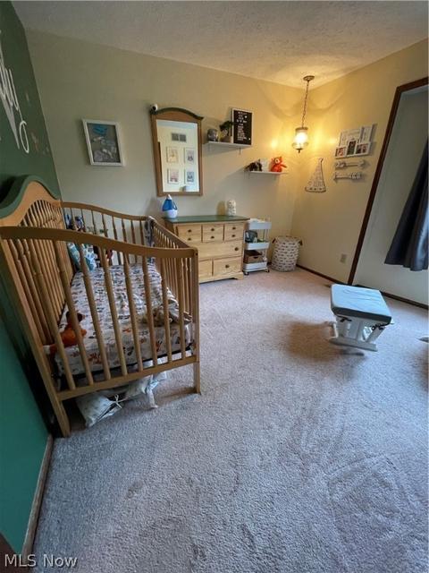 161 Burns Rd, Elyria, OH 44035 photo 21