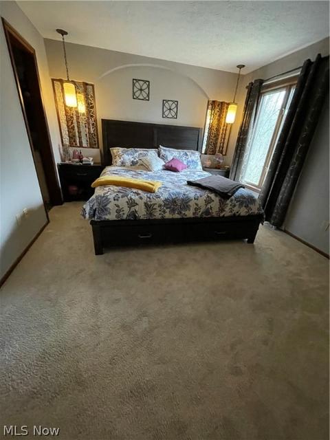 161 Burns Rd, Elyria, OH 44035 photo 22