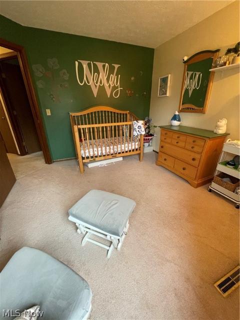 161 Burns Rd, Elyria, OH 44035 photo 19