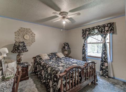 249 E Porter St, Malvern, OH 44644 photo 11