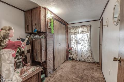 249 E Porter St, Malvern, OH 44644 photo 15
