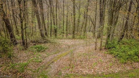 12992 County Road 6, Killbuck, OH 44637 photo 35