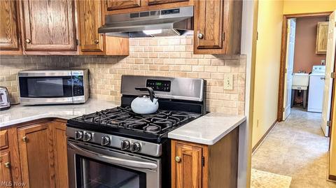 8261 Lanmark Dr, Mentor, OH 44060 photo 10