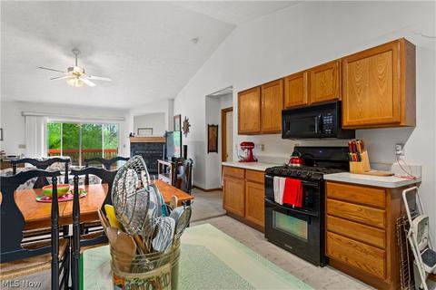 247 Forest Park Dr, Lagrange, OH 44050 photo 7