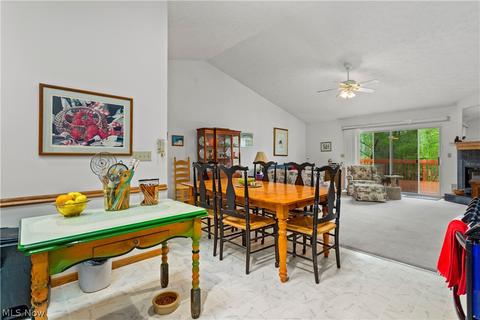 247 Forest Park Dr, Lagrange, OH 44050 photo 10