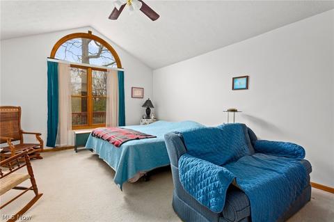 247 Forest Park Dr, Lagrange, OH 44050 photo 11