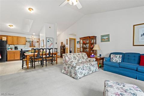 247 Forest Park Dr, Lagrange, OH 44050 photo 3
