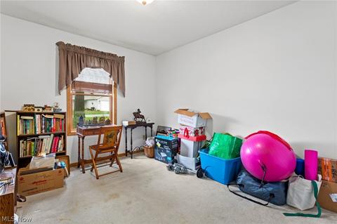 247 Forest Park Dr, Lagrange, OH 44050 photo 15