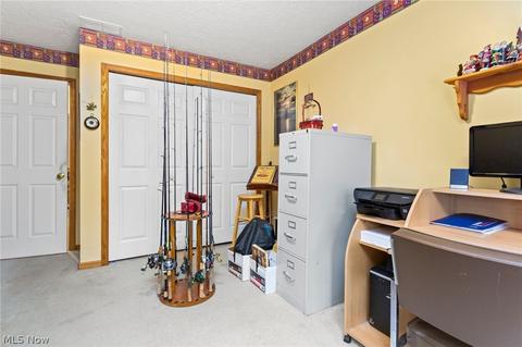 247 Forest Park Dr, Lagrange, OH 44050 photo 17