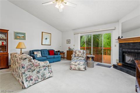 247 Forest Park Dr, Lagrange, OH 44050 photo 4