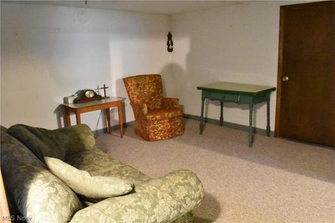 579 Maplewood Ave, Struthers, OH 44471 photo 19