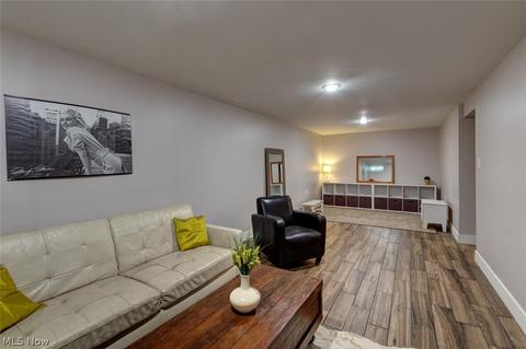 367 E 255th St, Euclid, OH 44132 photo 22