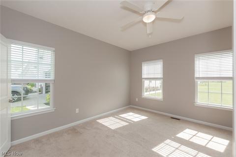 806 Walcutt Ct, Lagrange, OH 44050 photo 16