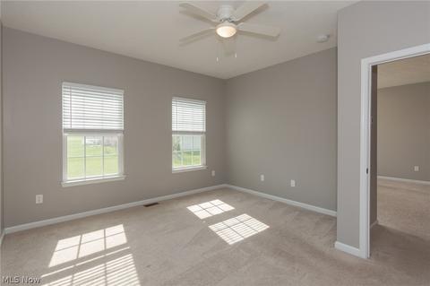 806 Walcutt Ct, Lagrange, OH 44050 photo 15