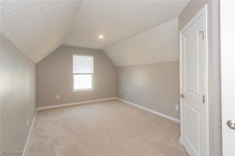 806 Walcutt Ct, Lagrange, OH 44050 photo 24