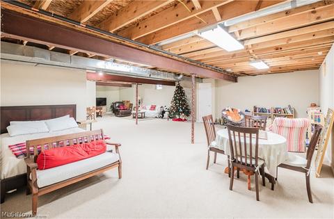 7665 Pinecrest Ln, Solon, OH 44139 photo 29