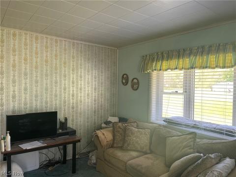 4 Devore St, Adena, OH 43901 photo 13