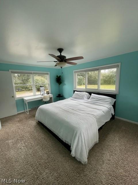 411 E 13th St, Dover, OH 44622 photo 28