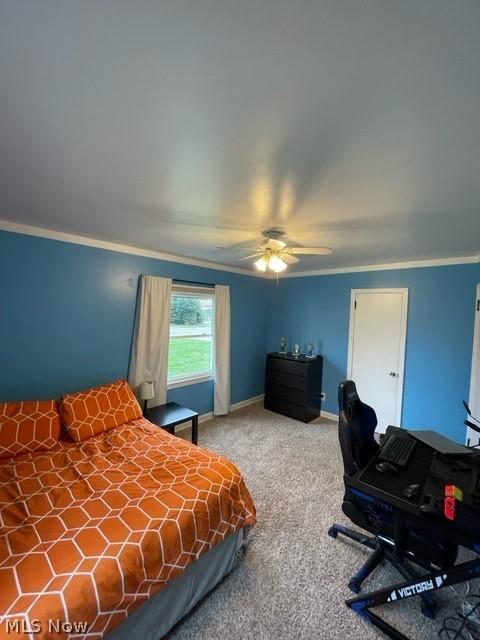 411 E 13th St, Dover, OH 44622 photo 21