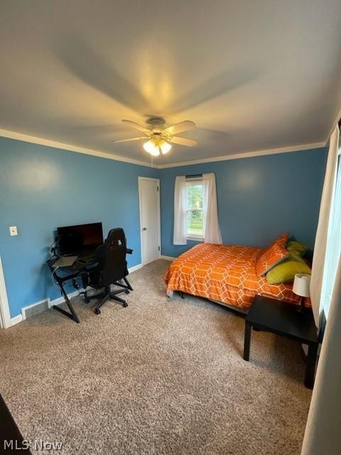 411 E 13th St, Dover, OH 44622 photo 20
