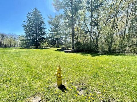 7414 Geauga St, Solon, OH 44139 photo 3