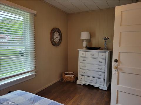101 Maple St, Scio, OH 43988 photo 11
