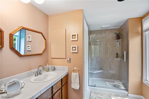 375 Bent Tree Dr, Aurora, OH 44202 photo 19