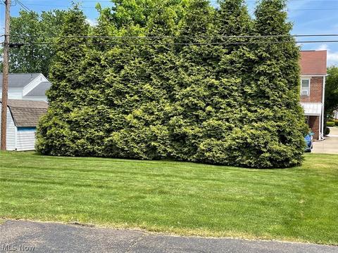 346 Montrose Ave NW, Canton, OH 44708 photo 3