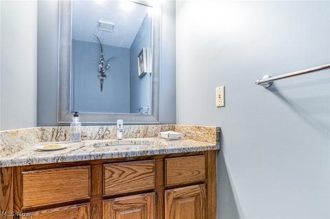 32720 Shadowbrook Dr, Solon, OH 44139 photo 16