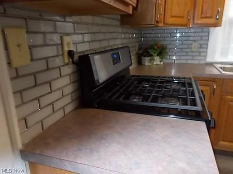 333 Eastern Heights Blvd, Elyria, OH 44035 photo 32