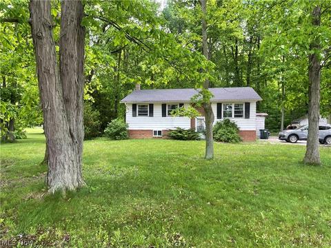 40522 Webster Rd, Lagrange, OH 44050 photo 1