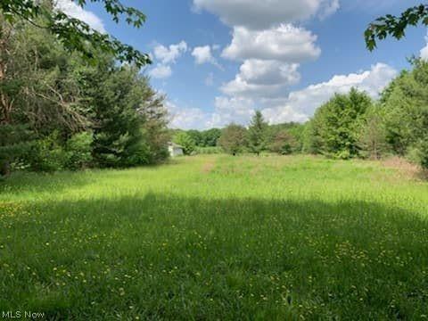 9305 Nichols Rd, Freedom, OH 44231 photo 4