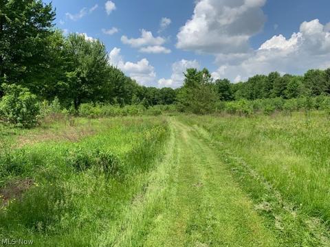 9305 Nichols Rd, Freedom, OH 44231 photo 10
