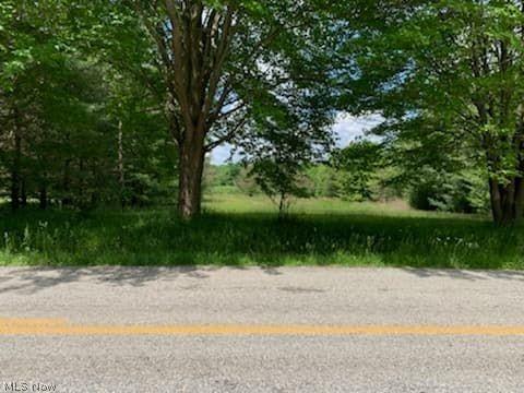 9305 Nichols Rd, Freedom, OH 44231 photo 5