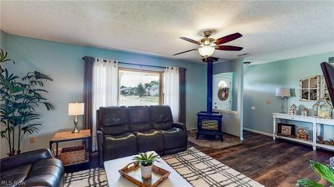 517 William St, Lagrange, OH 44050 photo 7
