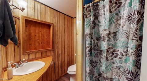 517 William St, Lagrange, OH 44050 photo 29