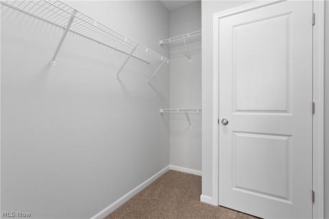 202 Silver Spring Cir, Elyria, OH 44035 photo 27