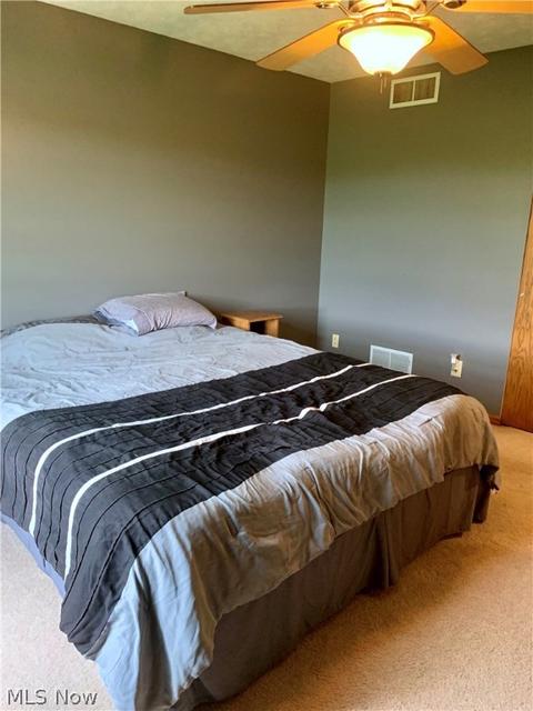 39160 Smith Rd, Litchfield, OH 44253 photo 21