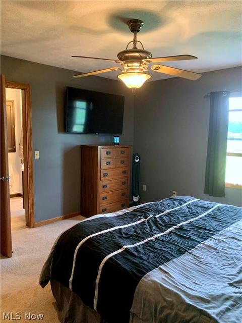 39160 Smith Rd, Litchfield, OH 44253 photo 20