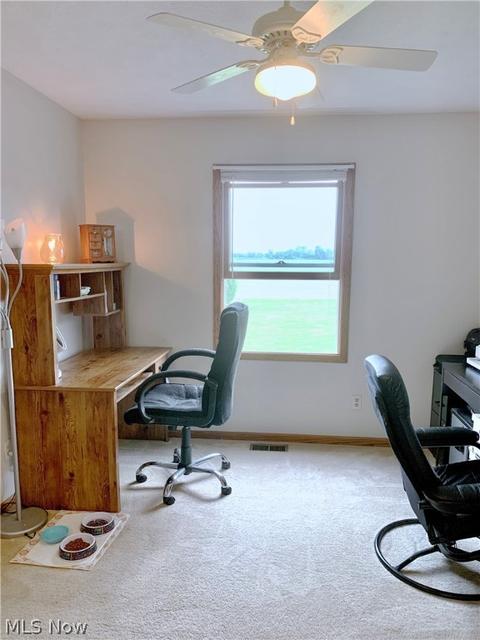 39160 Smith Rd, Litchfield, OH 44253 photo 26