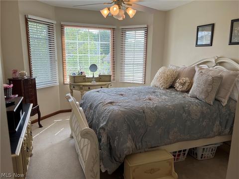 520 William St, Lagrange, OH 44050 photo 18